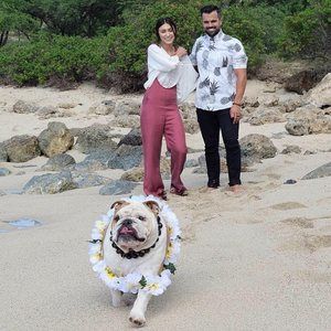 Meet your Posher, Jon